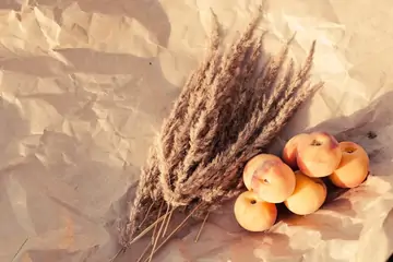 Kışlık Kayısısı Stoku: Malatya Kayısısının Önemi ve Özellikleri